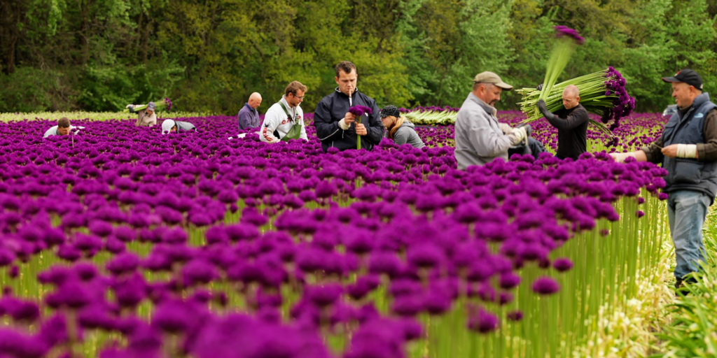 práca v zahraničí