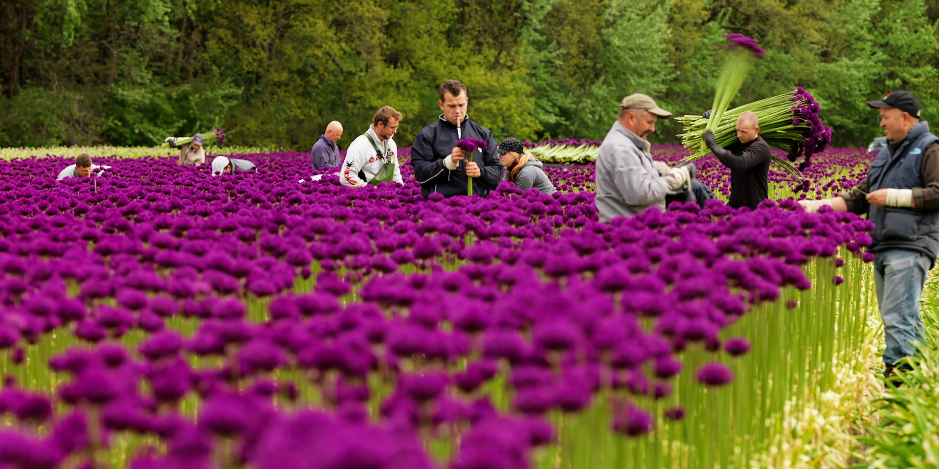 práca v zahraničí